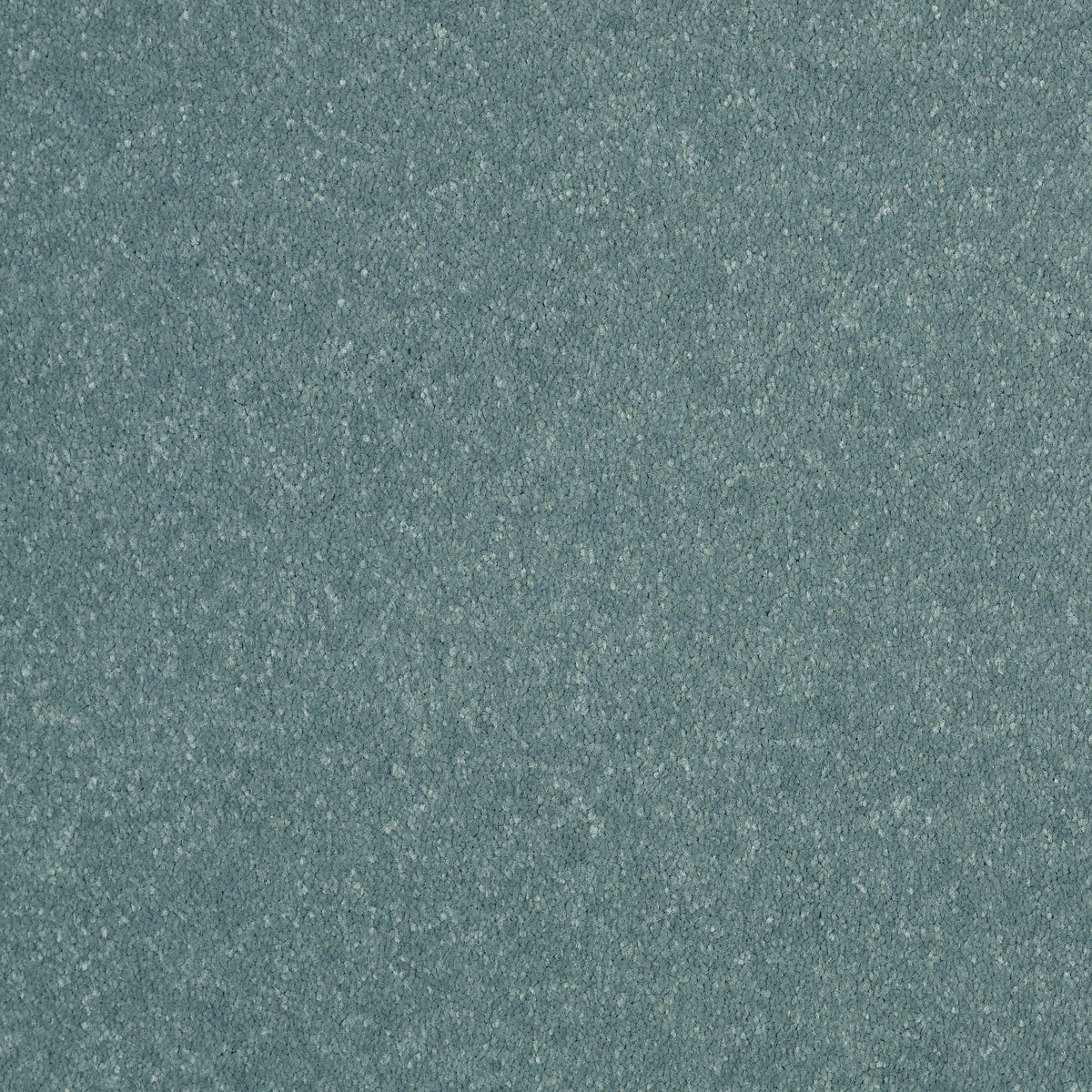 STAINMASTER Essentials Intuition III 12-ft Bahama Breeze Textured Carpet Sample (Interior)