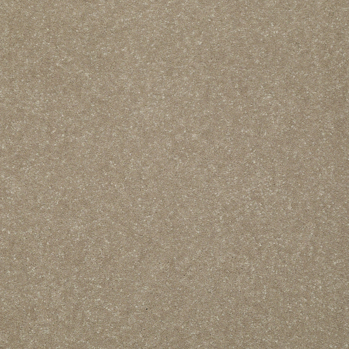 STAINMASTER Essentials Intuition III 12-ft Wheat Bread Textured Carpet Sample (Interior)