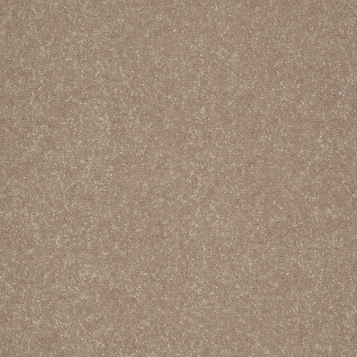 STAINMASTER Essentials Intuition III 12-ft Crisp Khaki Textured Carpet Sample (Interior)