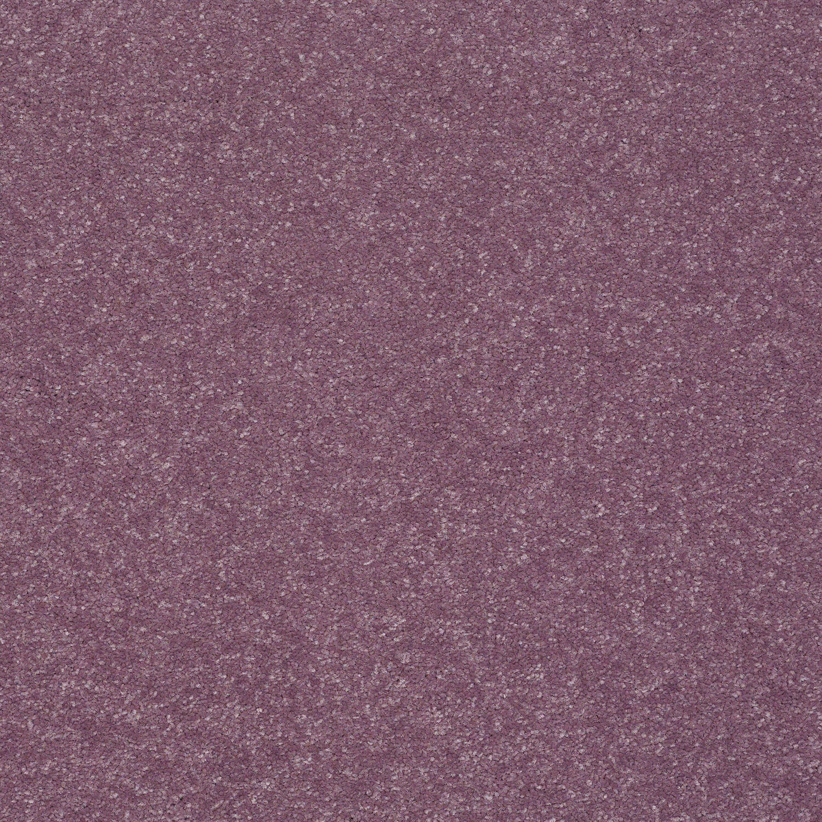 STAINMASTER Essentials Intuition II 12-ft Lavender Textured Carpet Sample (Interior)