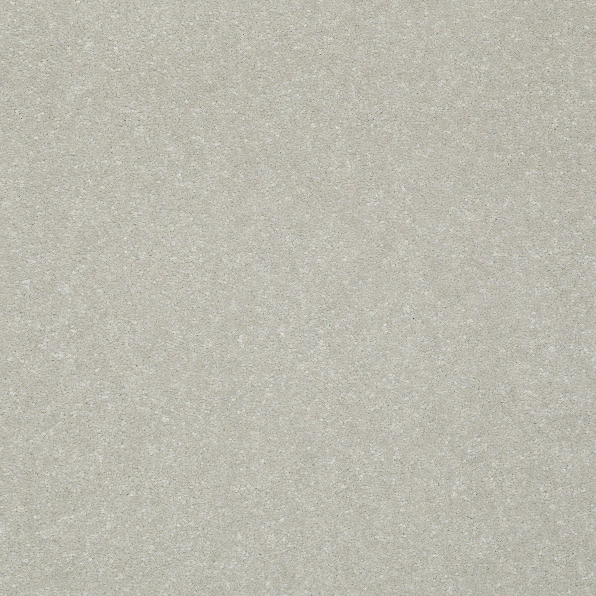 STAINMASTER Essentials Intuition III 12-ft Washed Linen Textured Carpet Sample (Interior)