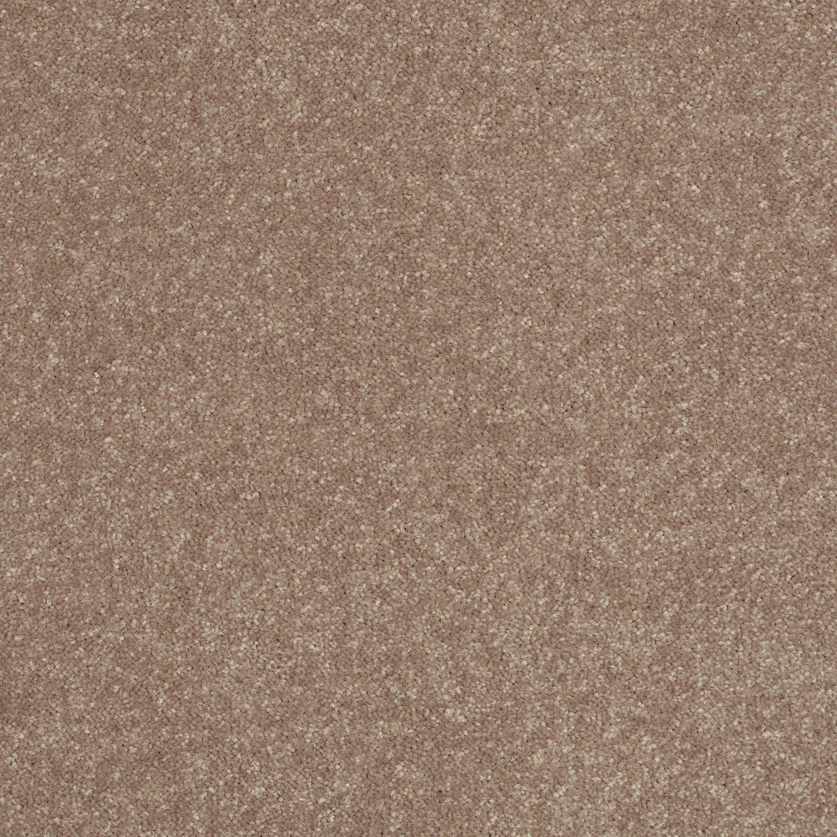 STAINMASTER Essentials Intuition III 12-ft Outer Banks Textured Carpet Sample (Interior)