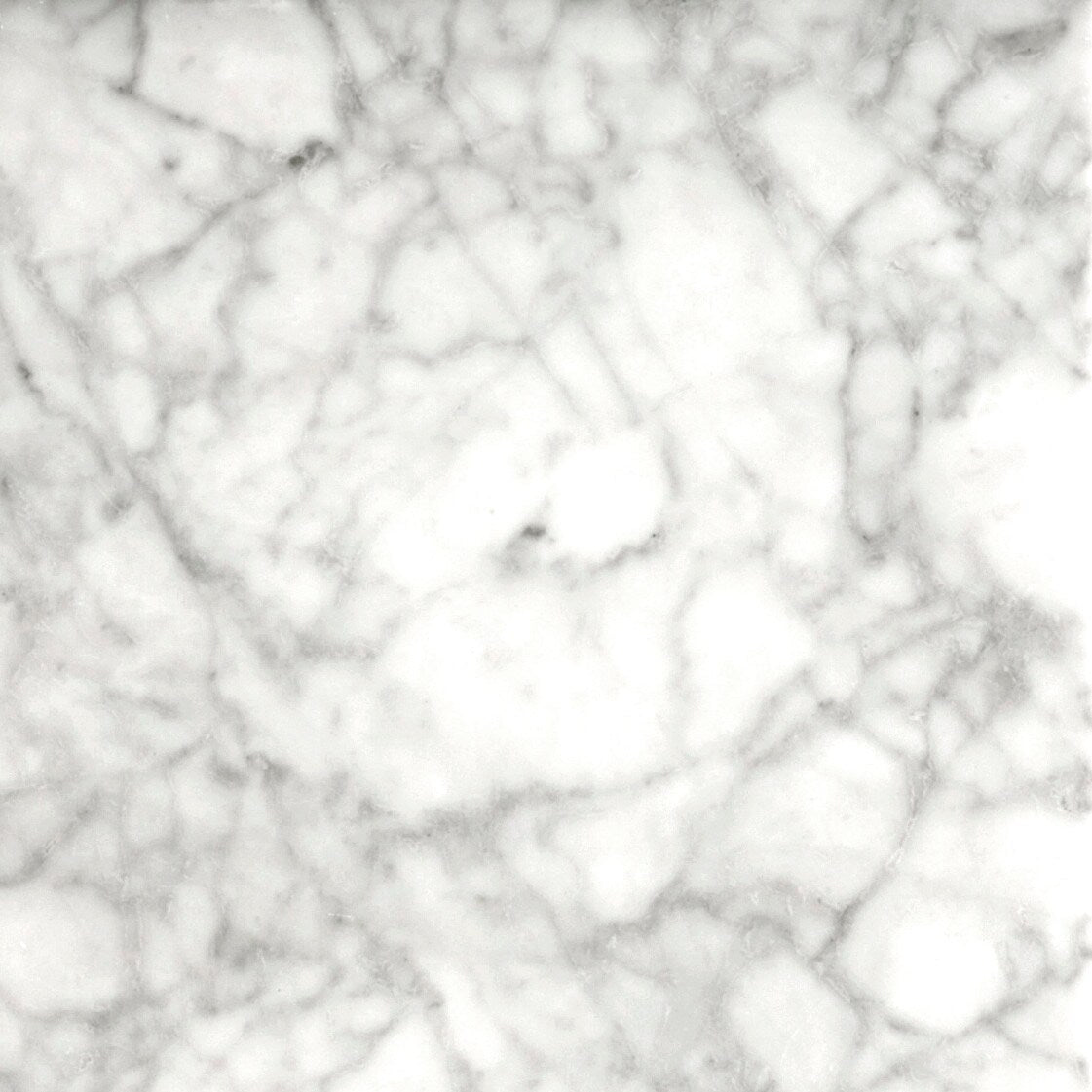 Emser Bianco Gioia Nantes 12-in x 12-in Honed Marble Floor and Wall Tile (10-Pack)