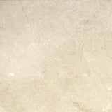 Emser MARBLE Crema Marfil Plus 24-in x 24-in Polished Natural Stone Marble Stone Look Tile