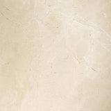 Emser MARBLE Crema Marfil Classico 24-in x 24-in Polished Natural Stone Marble Floor and Wall Tile