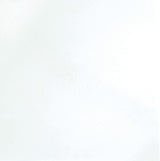 Emser THASSOS WHITE 5-Pack 18-in x 18-in Polished Natural Stone Marble Floor and Wall Tile