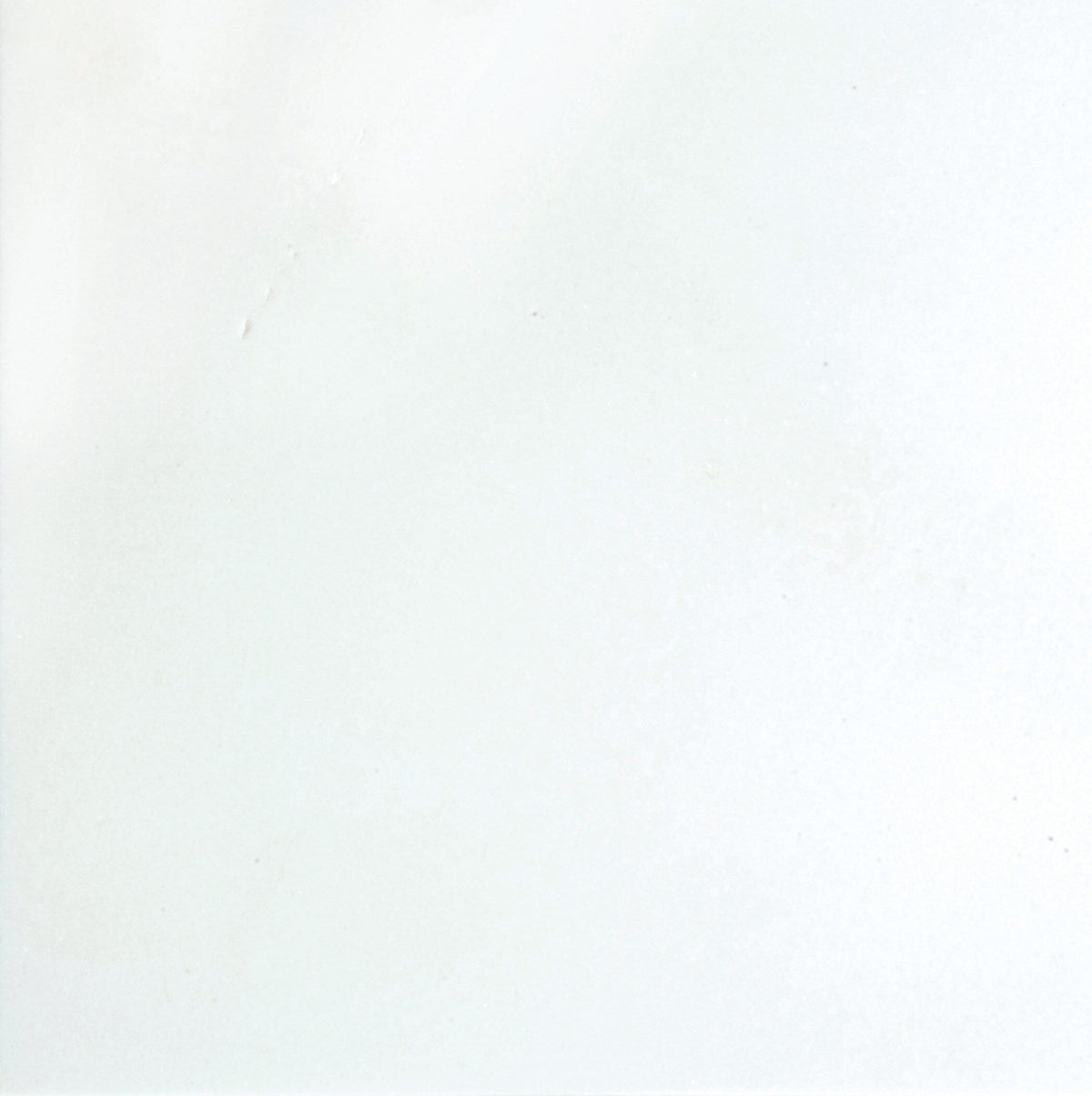 Emser THASSOS WHITE 5-Pack 18-in x 18-in Polished Natural Stone Marble Floor and Wall Tile