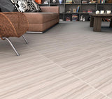 Emser Archive Record Porcelain Border Tile (12-in x 12-in)