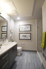 Emser Archive Record Porcelain Border Tile (12-in x 12-in)