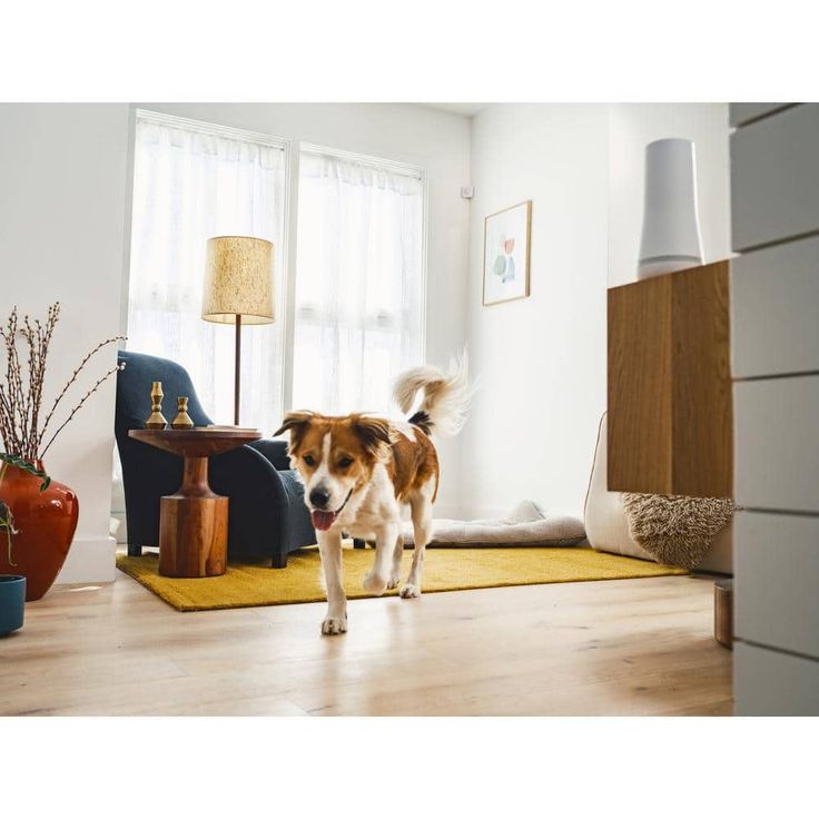 SimpliSafe Smart Home Security System (7 pc.) with Base Station, Siren, Keypad, Motion Sensor, 3 Entry Sensors, and Key Fob