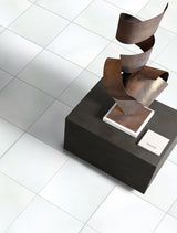 Emser THASSOS WHITE 10-Pack Thassos White 12-in x 12-in Polished Natural Stone Marble Floor and Wall Tile