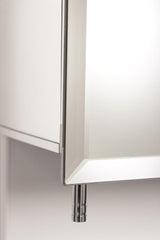 Jacuzzi 16-in x 20-in Rectangle Surface/Recessed Mirrored Medicine Cabinet