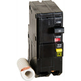 QO 60 Amp 2-Pole Circuit Breaker - Super Arbor