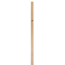 (Common: 1-in x 10-in x 10-ft; Actual: 0.75-in x 9.25-in x 10-ft) Whitewood Board