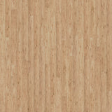 Cali Bamboo Fossilized 5-in Natural Eucalyptus Smooth/Traditional Solid Hardwood Flooring (27.3-sq ft)