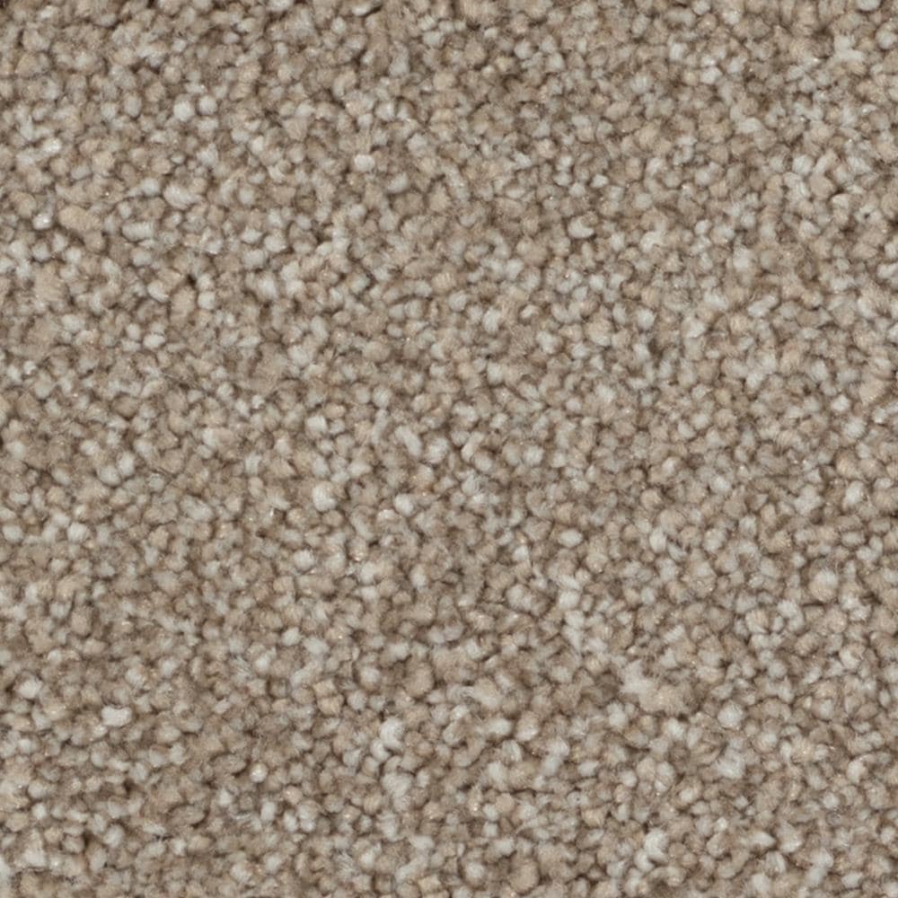 STAINMASTER Beatitude Elsewhere Textured Carpet Sample (Interior), 8-in x 8-in