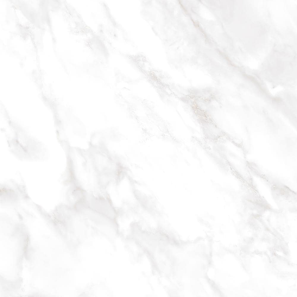 Emser Residenza 6-Pack Calacata 23-in x 23-in Matte Ceramic Stone Look Floor and Wall Tile