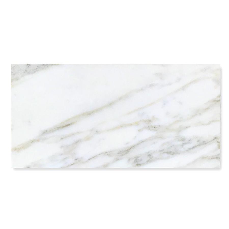 TRUE PORCELAIN CO. Arabescato Gold Polished 12-in x 24-in Polished Porcelain Marble Look Floor and Wall Tile - Super Arbor
