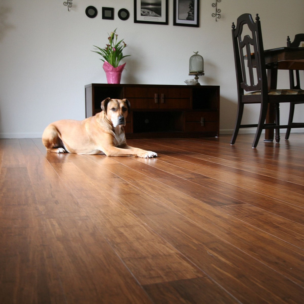 Cali Bamboo Eco-Engineered Prefinished Java Handscraped Bamboo Engineered Hardwood Flooring Sample, 9/16-in x 5-3/8-in