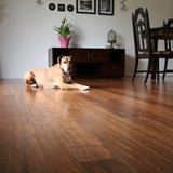 Cali Bamboo Eco-Engineered Prefinished Java Handscraped Bamboo Engineered Hardwood Flooring Sample, 9/16-in x 5-3/8-in
