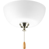 Wisten Collection 2-Light Unfinished Ceiling Fan Light Kit