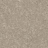 STAINMASTER Essentials Blue Diamonds II 12-ft Greige Textured Carpet (Indoor)
