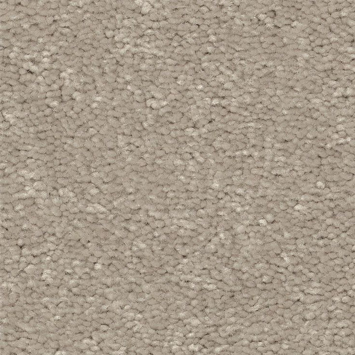 STAINMASTER Essentials Blue Diamonds II 12-ft Greige Textured Carpet (Indoor)
