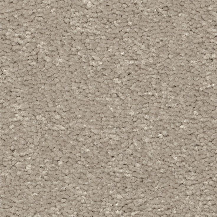 STAINMASTER Essentials Blue Diamonds III 15-ft Greige Textured Carpet (Indoor)