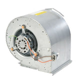 Rheem AS-59050-06 blower motor - front view (Product Type: Blower Motor)