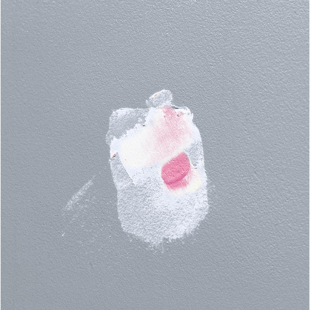 DAP DryDex 8 oz. Wall Repair Patch Kit - Super Arbor