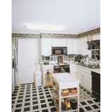 Litepuff 2-Light White Fluorescent Ceiling Light - Super Arbor