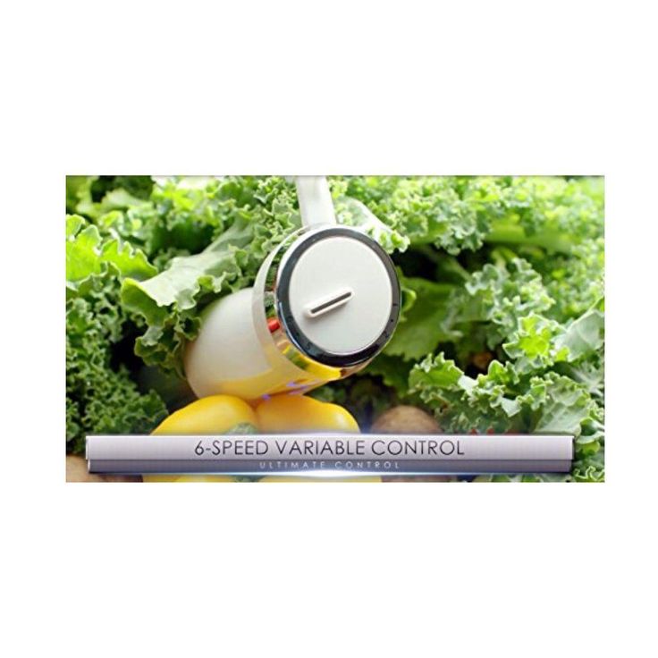 Multi-Purpose Immersion Hand Blender Set 500-Watts, Stainless Steel, 6-Speed Control, Includes Attachments