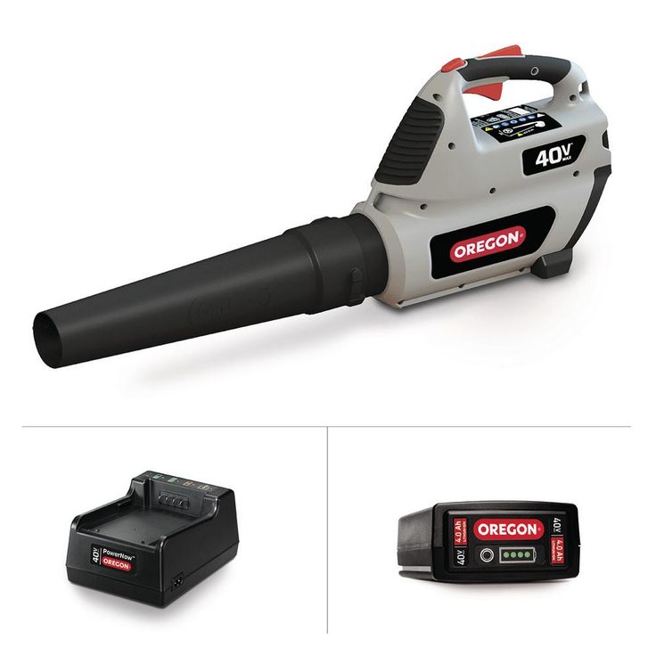 Oregon 131 MPH 507 CFM 40-Volt Lithium-Ion Cordless Handheld Leaf Blower with 4.0Ah Battery and Charger