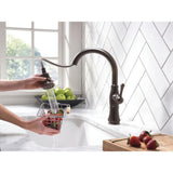 Cassidy Single-Handle Pull-Down Sprayer Kitchen Faucet in Venetian Bronze - Super Arbor