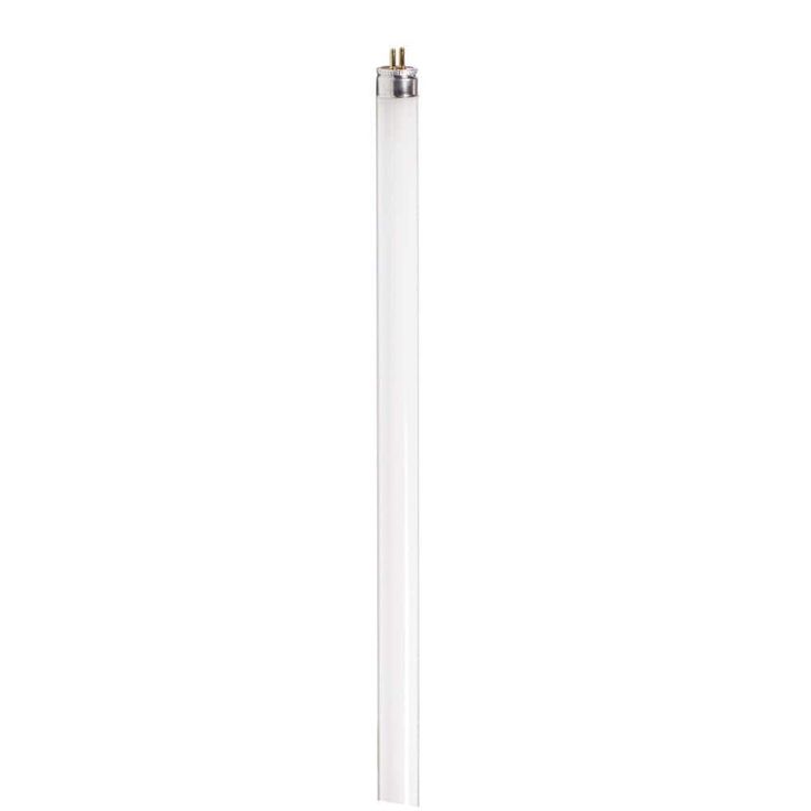 Philips 8-Watt 12 in. Linear T5 Fluorescent Tube Light Bulb Cool White (4100K)