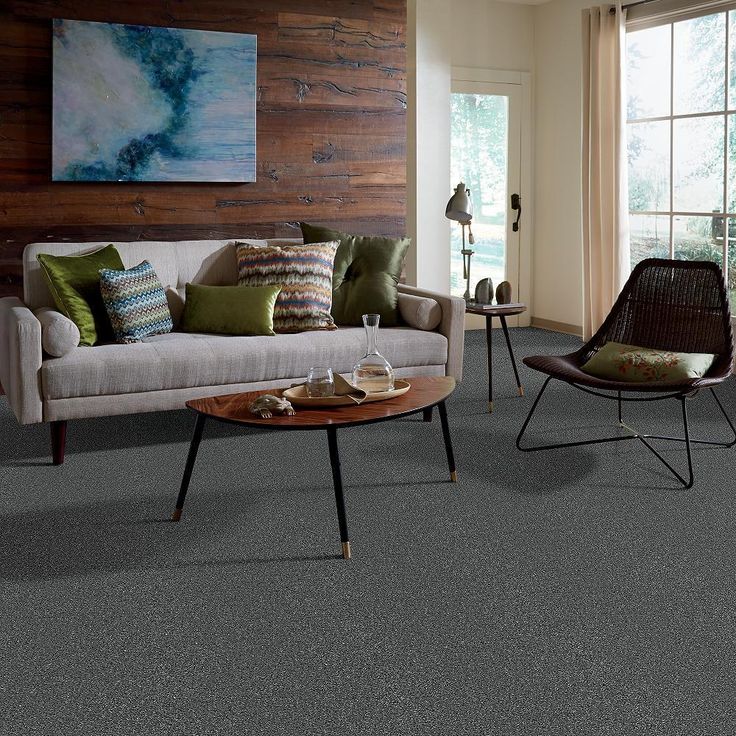 STAINMASTER PetProtect Baxter II Roll Over Textured Carpet (Indoor)