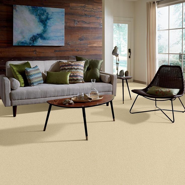 STAINMASTER PetProtect Baxter I Spaniel Textured Carpet (Indoor)