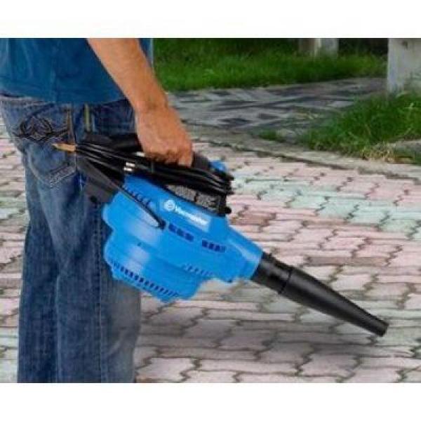 12-gal. Wet/Dry Vacuum with Detachable Blower - Super Arbor