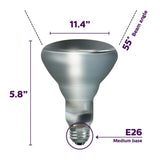 Philips 65-Watt Incandescent BR30 Flood Light Bulb Soft White (2700K) (12-Pack)