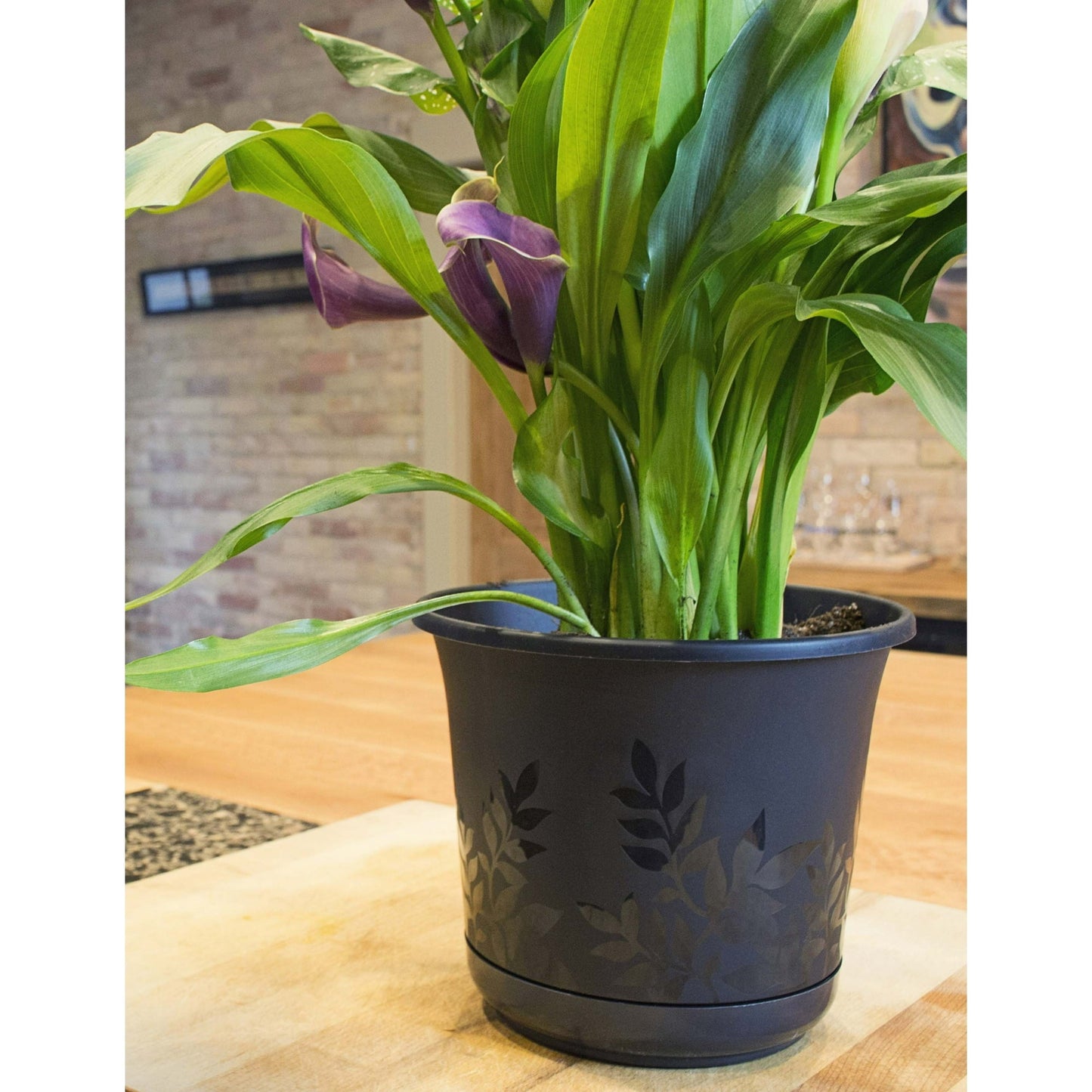Bloem Freesia Planter w/Saucer 12" Black