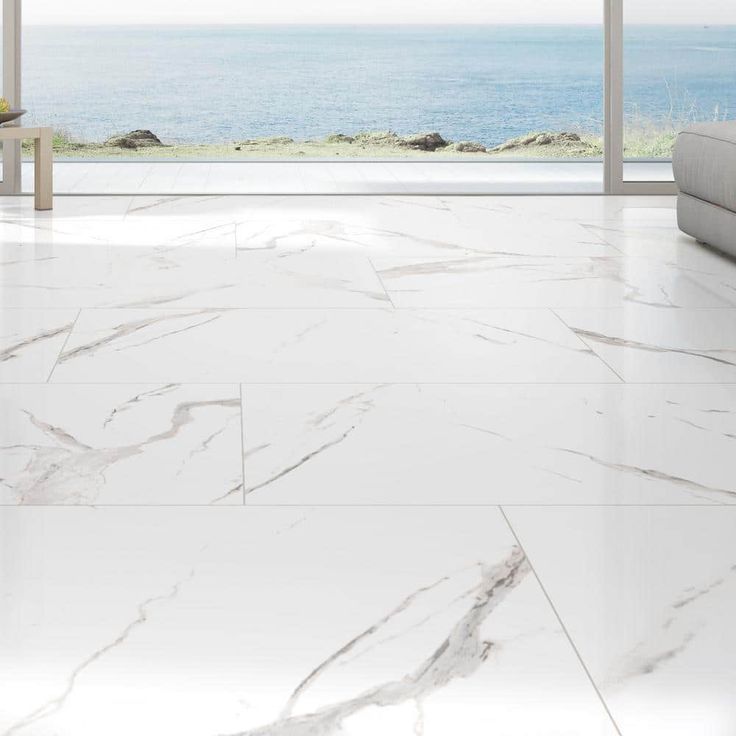 Ader Tegal 24 in. x 48 in. Polished Porcelain Floor and Wall Tile (16 sq. ft./Case)
