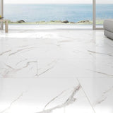 Ader Tegal 24 in. x 48 in. Polished Porcelain Floor and Wall Tile (16 sq. ft./Case)