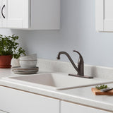 Builders Single-Handle Standard Kitchen Faucet in Bronze - Super Arbor