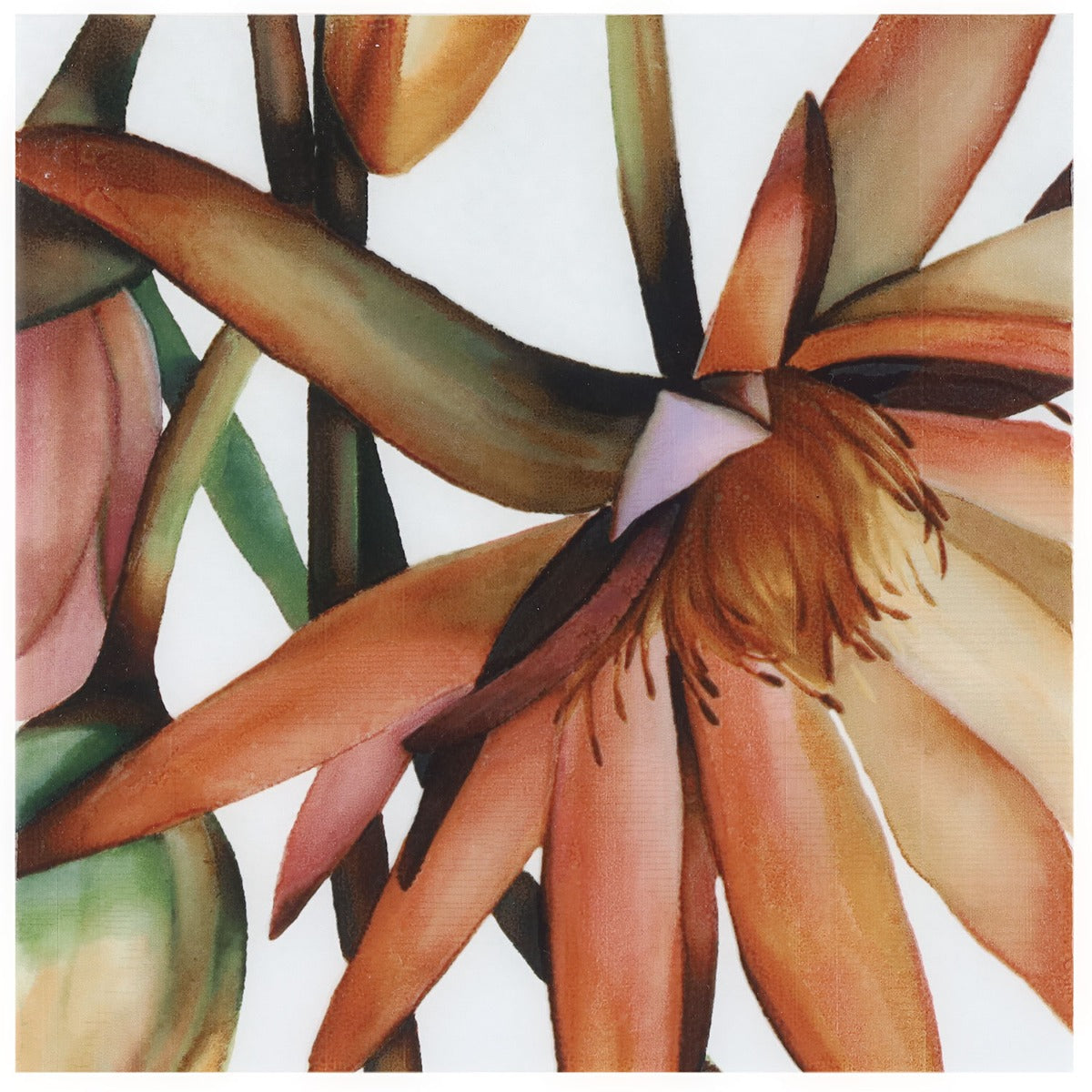 Angela Harris Wilder Tikida Decor 8x8 Matte Ceramic Tile - Botanical Design