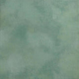 1001374084xl_-799642937.jpg