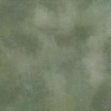1001374648xl_209296525.jpg