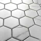 1001429930_12323883_950075657.jpg