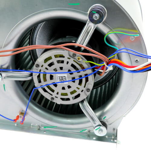 Nordyne 1003481 blower motor - detail view (Product Type: Blower Motor)