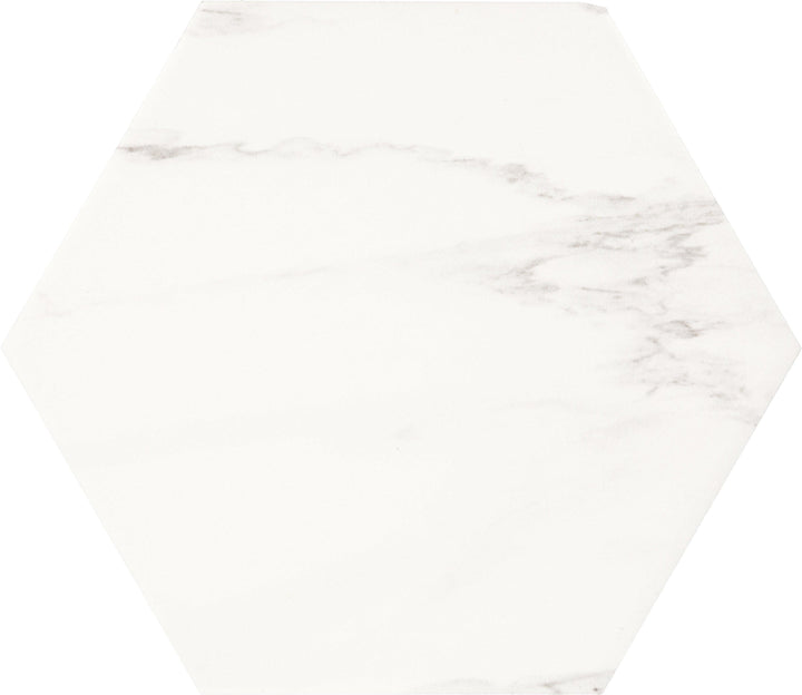San Giorgio Marble Art Matte Hexagon Porcelain Tile - 8 x 9