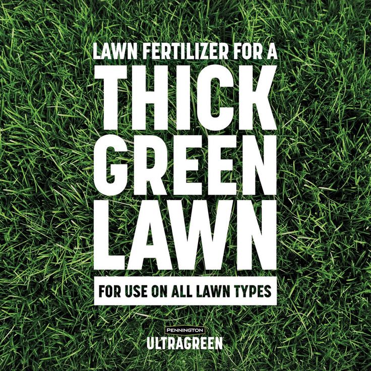 Pennington 30-0-4 5M 14lbs. Lawn Fertilizer